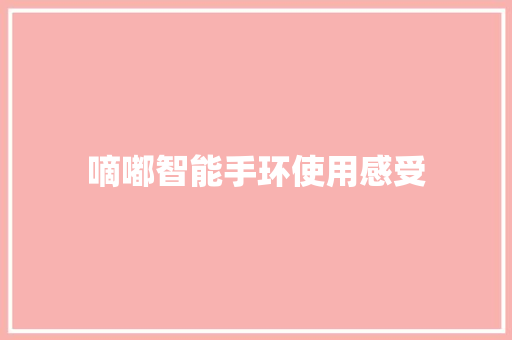嘀嘟智能手环使用感受