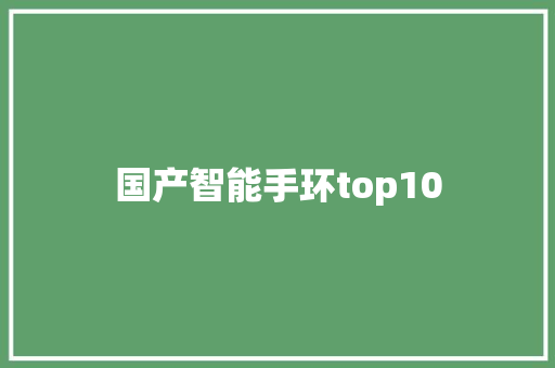 国产智能手环top10