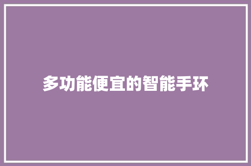 多功能便宜的智能手环