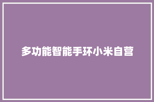 多功能智能手环小米自营