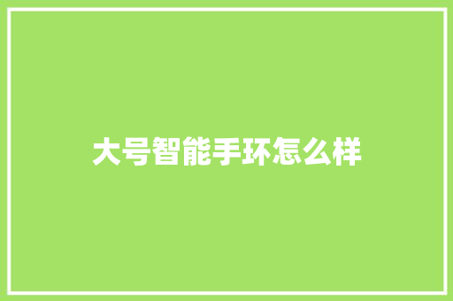 大号智能手环怎么样