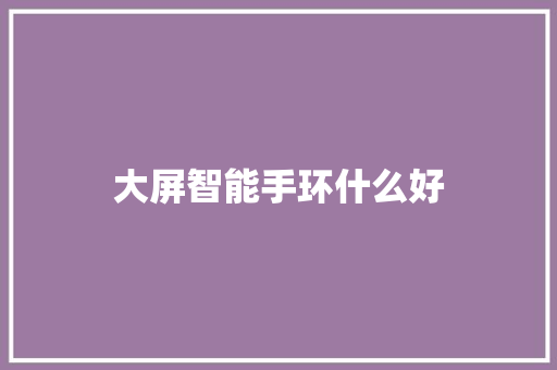 大屏智能手环什么好