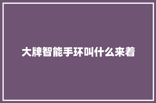 大牌智能手环叫什么来着