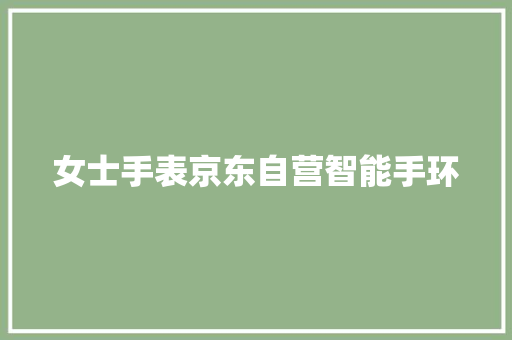 女士手表京东自营智能手环