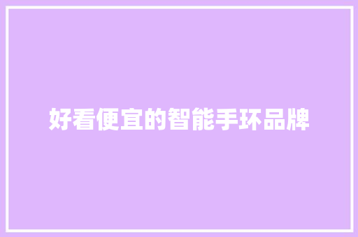 好看便宜的智能手环品牌