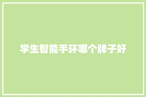 学生智能手环哪个牌子好