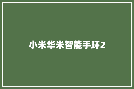 小米华米智能手环2