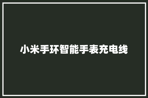 小米手环智能手表充电线