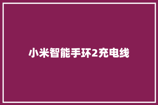 小米智能手环2充电线