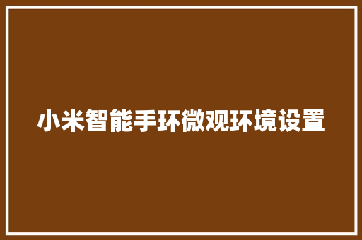 小米智能手环微观环境设置