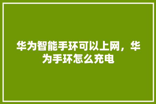 华为智能手环可以上网，华为手环怎么充电