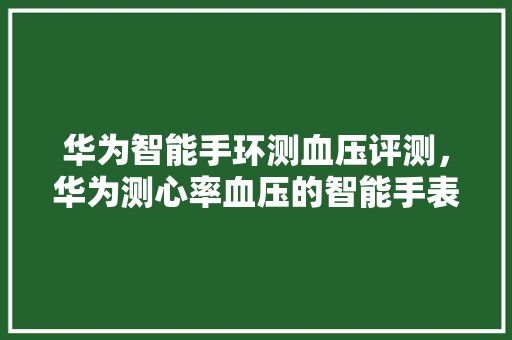 华为智能手环测血压评测，华为测心率血压的智能手表
