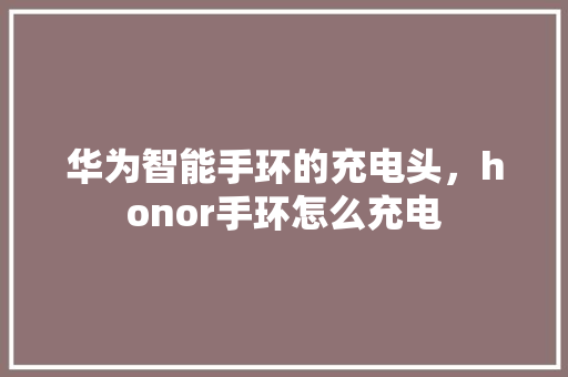 华为智能手环的充电头，honor手环怎么充电  第1张