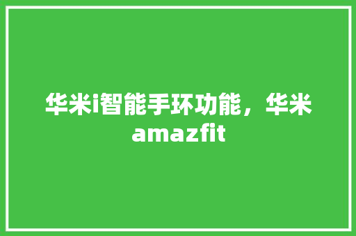 华米i智能手环功能，华米amazfit