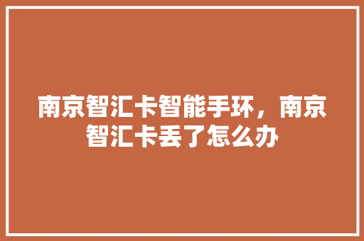 南京智汇卡智能手环，南京智汇卡丢了怎么办