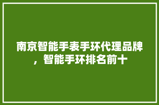 南京智能手表手环代理品牌，智能手环排名前十