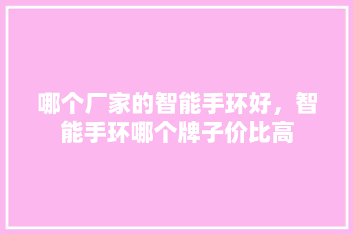 哪个厂家的智能手环好，智能手环哪个牌子价比高