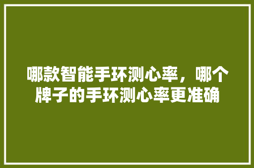哪款智能手环测心率，哪个牌子的手环测心率更准确