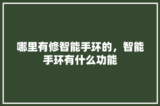 哪里有修智能手环的，智能手环有什么功能
