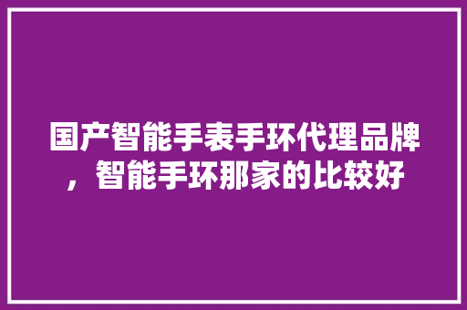 国产智能手表手环代理品牌，智能手环那家的比较好