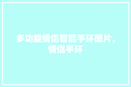 多功能情侣智能手环图片，情侣手环  第1张