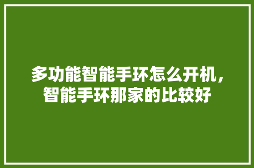 多功能智能手环怎么开机，智能手环那家的比较好  第1张