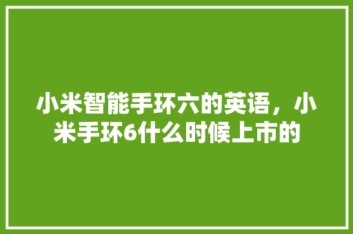 小米智能手环六的英语，小米手环6什么时候上市的