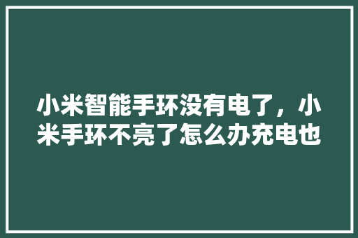 小米智能手环没有电了，小米手环不亮了怎么办充电也没反应