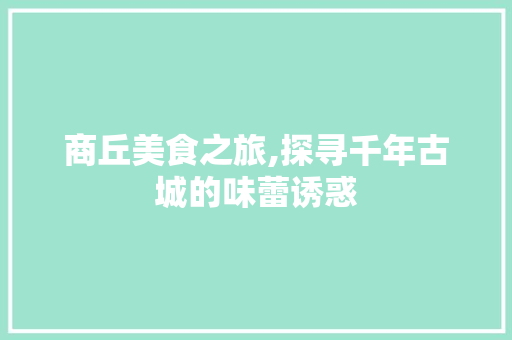 商丘美食之旅,探寻千年古城的味蕾诱惑
