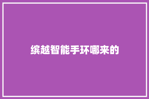 缤越智能手环哪来的