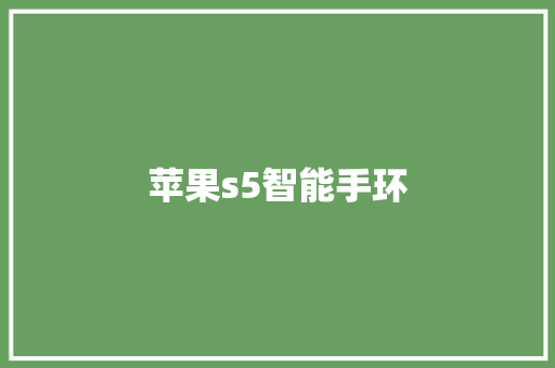 苹果s5智能手环