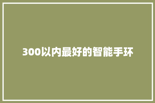 300以内最好的智能手环