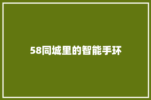 58同城里的智能手环