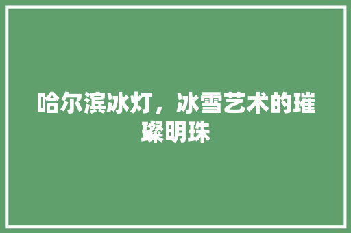 哈尔滨冰灯，冰雪艺术的璀璨明珠