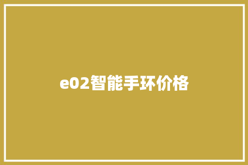 e02智能手环价格