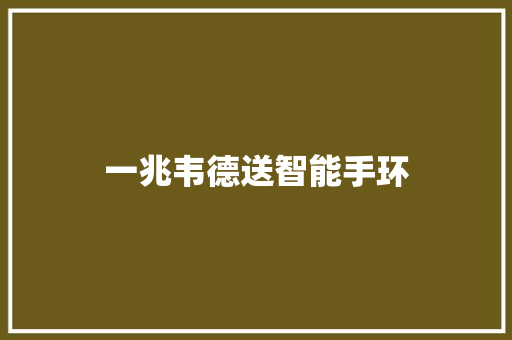 一兆韦德送智能手环