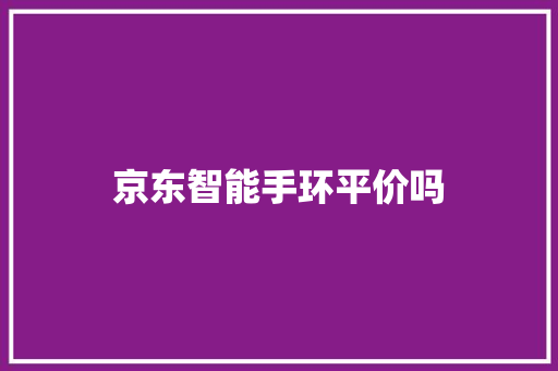 京东智能手环平价吗