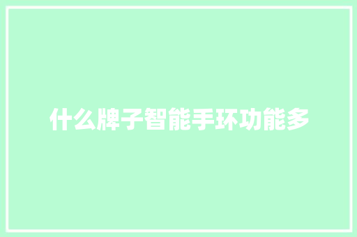 什么牌子智能手环功能多