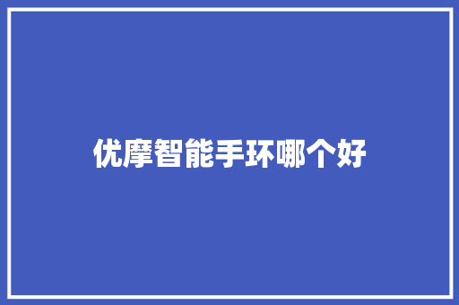 优摩智能手环哪个好