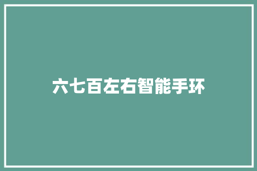 六七百左右智能手环