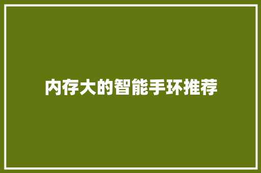 内存大的智能手环推荐