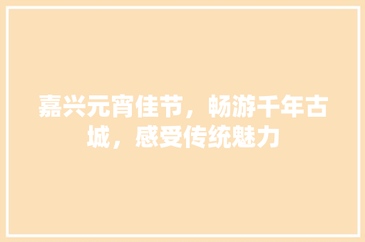 嘉兴元宵佳节，畅游千年古城，感受传统魅力