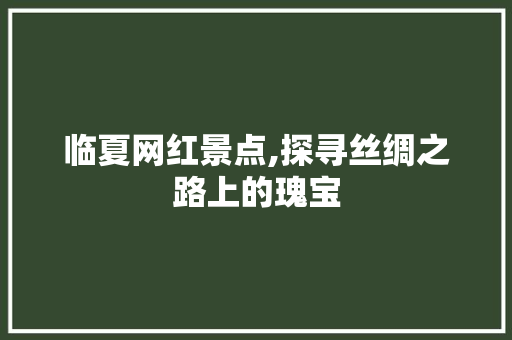 临夏网红景点,探寻丝绸之路上的瑰宝