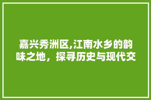 嘉兴秀洲区,江南水乡的韵味之地，探寻历史与现代交融的美丽画卷