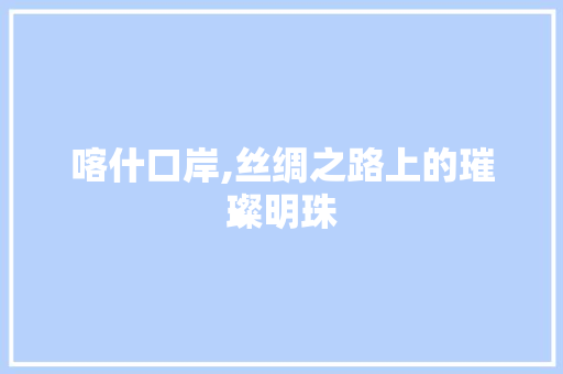 喀什口岸,丝绸之路上的璀璨明珠