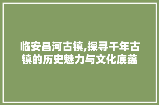 临安昌河古镇,探寻千年古镇的历史魅力与文化底蕴  第1张