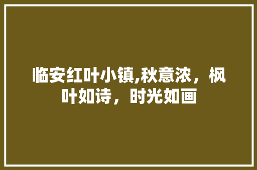 临安红叶小镇,秋意浓，枫叶如诗，时光如画  第1张