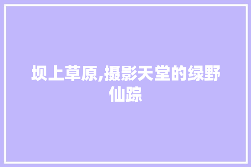 坝上草原,摄影天堂的绿野仙踪