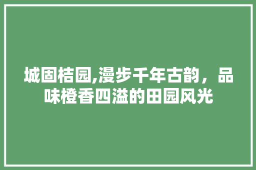 城固桔园,漫步千年古韵，品味橙香四溢的田园风光