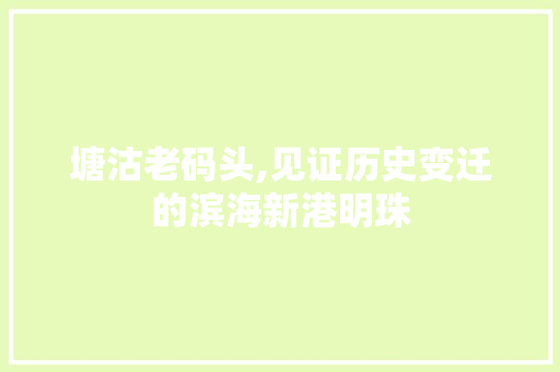 塘沽老码头,见证历史变迁的滨海新港明珠